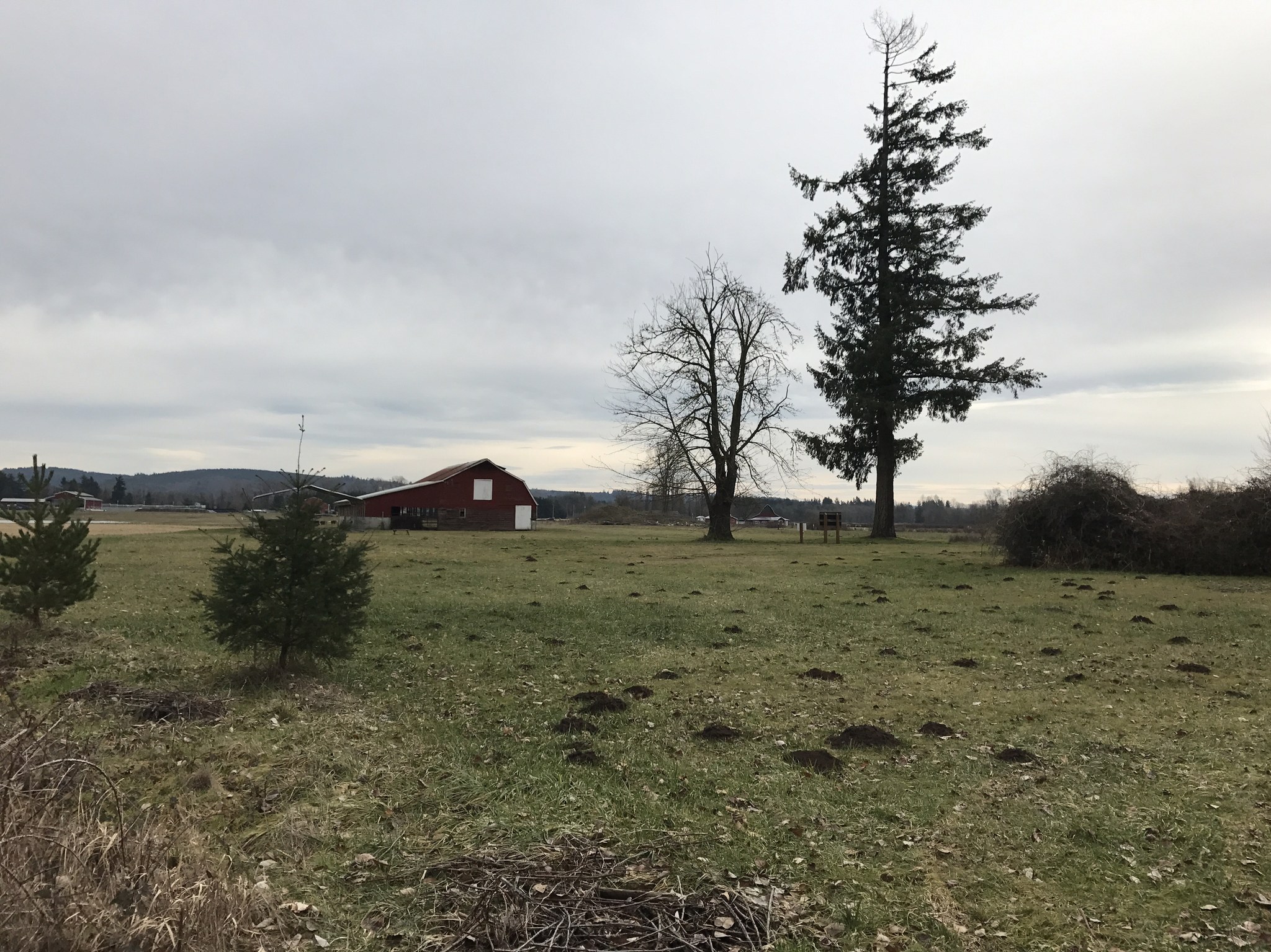 Chehalis River Discovery Trail — Washington Trails Association